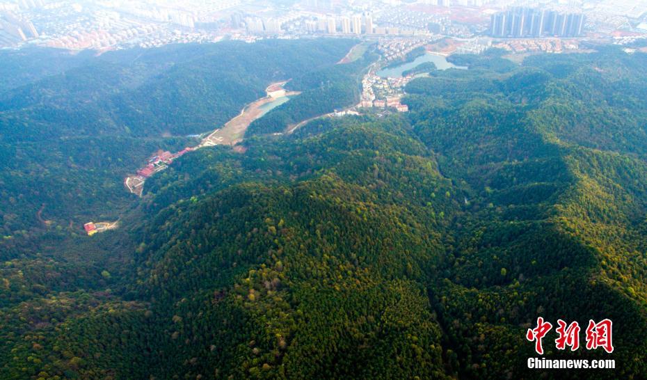 Panorama do “pulmão verde” de Jiangxi