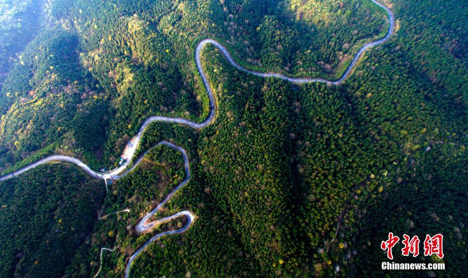 Panorama do “pulmão verde” de Jiangxi