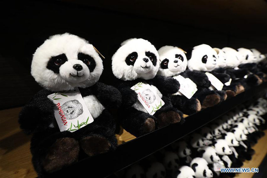 “Pandasia” no jardim zoológico de Ouwehands na Holanda