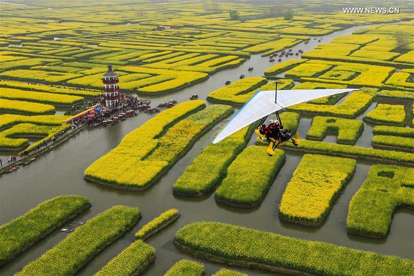 Paisagem florida em Jiangsu atrai turistas