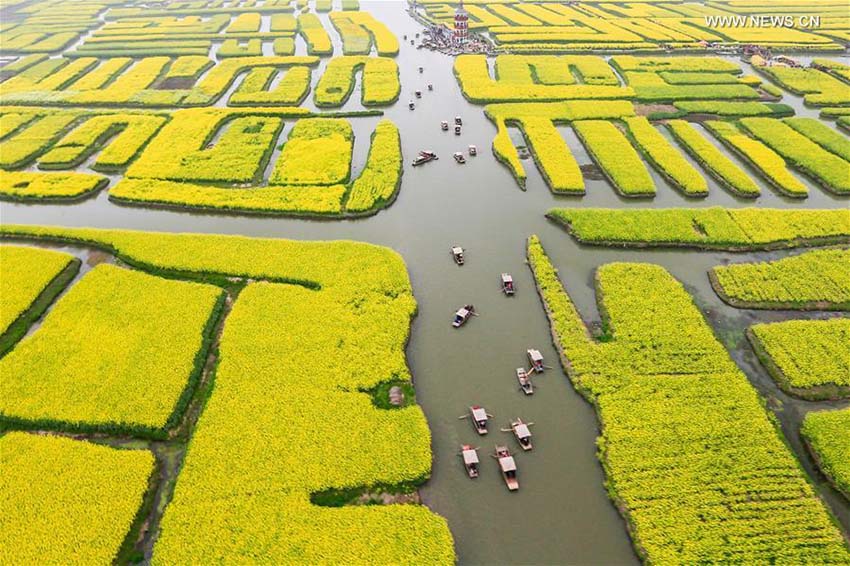 Paisagem florida em Jiangsu atrai turistas