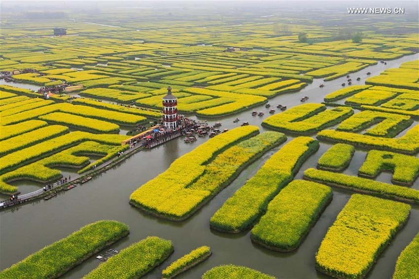 Paisagem florida em Jiangsu atrai turistas