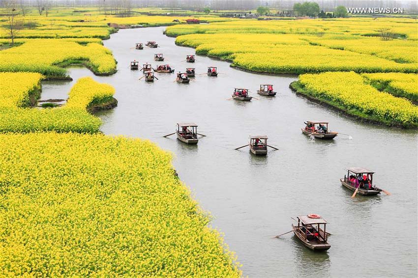 Paisagem florida em Jiangsu atrai turistas