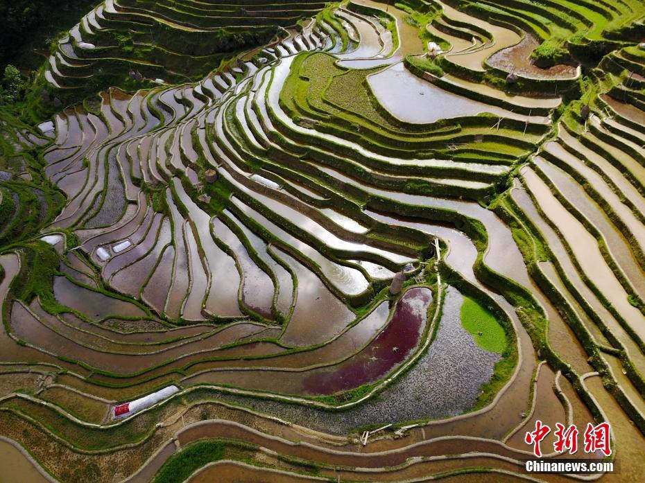 Vista aérea dos socalcos do Monte da Lua em Guizhou