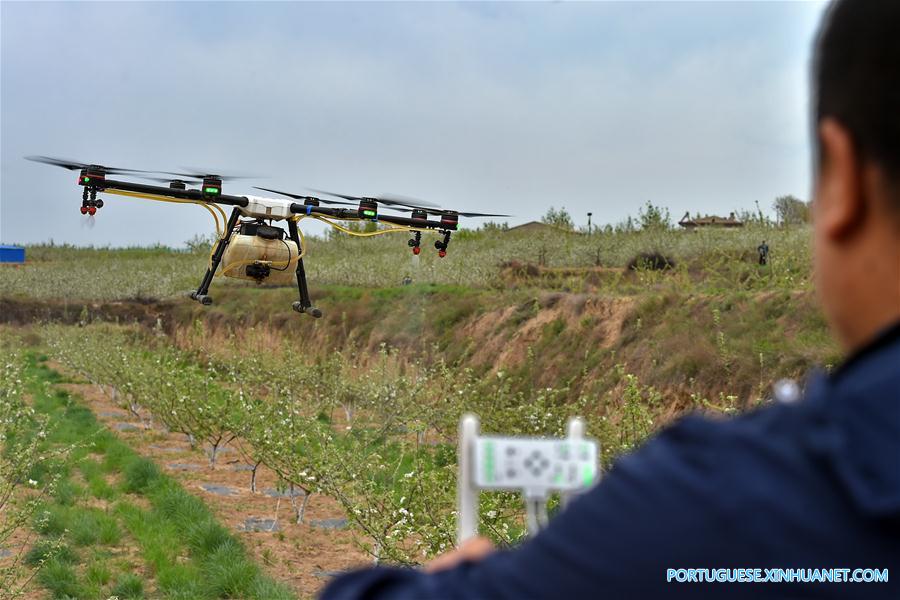 Drones utilizados para pulverizar pesticida no norte da China