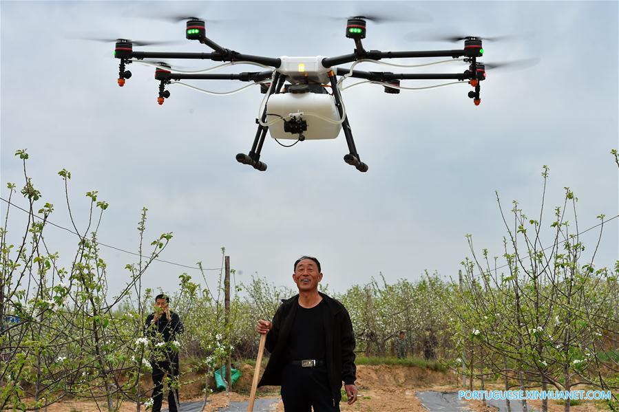 Drones utilizados para pulverizar pesticida no norte da China