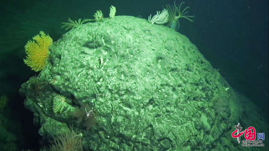 Submersível chinês Jiaolong completa segundo mergulho no Mar do Sul da China