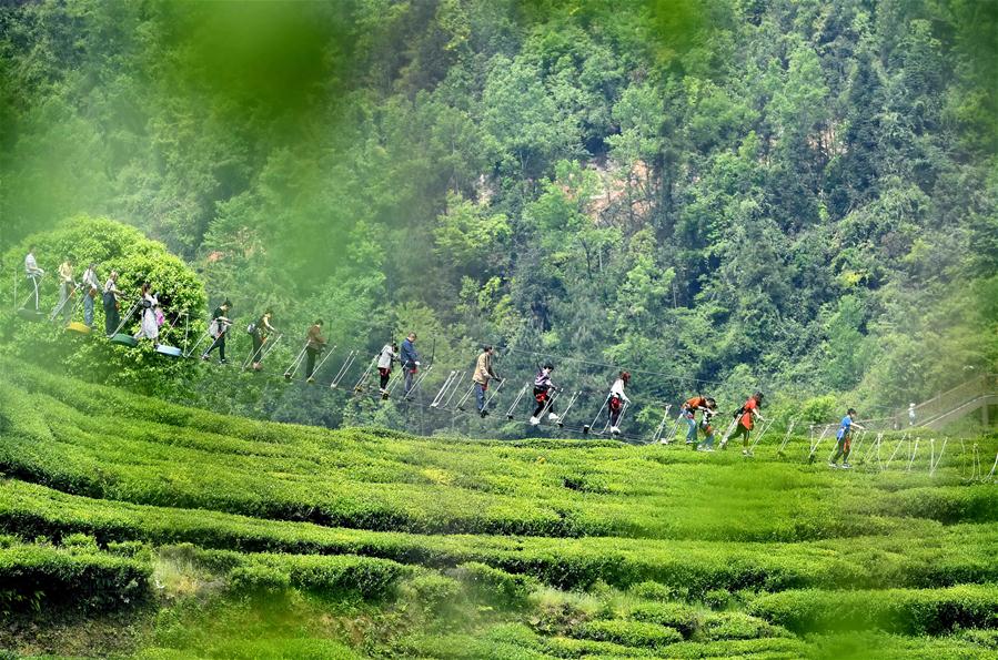 Jardim de chá em Hubei recebe turistas durante o feriado do Dia do Trabalho