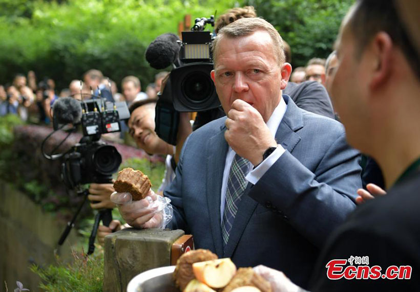 Primeiro-ministro dinamarquês visita reserva de pandas em Chengdu