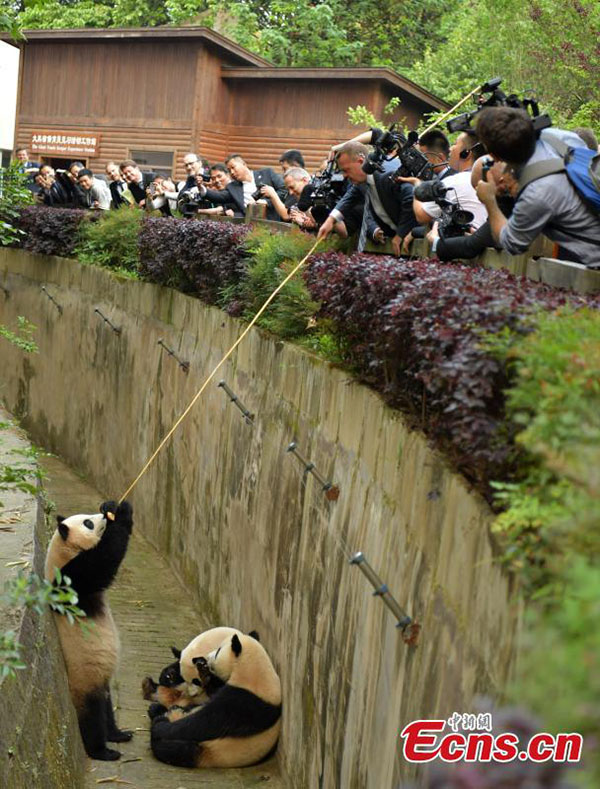 Primeiro-ministro dinamarquês visita reserva de pandas em Chengdu