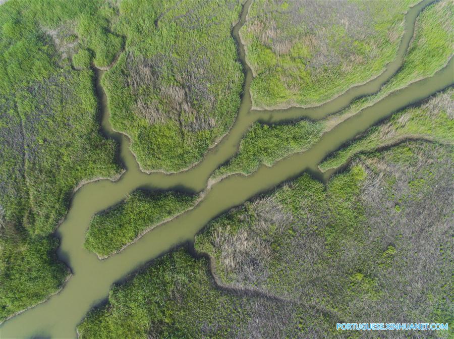 Região entremarés em Jiangsu no leste da China