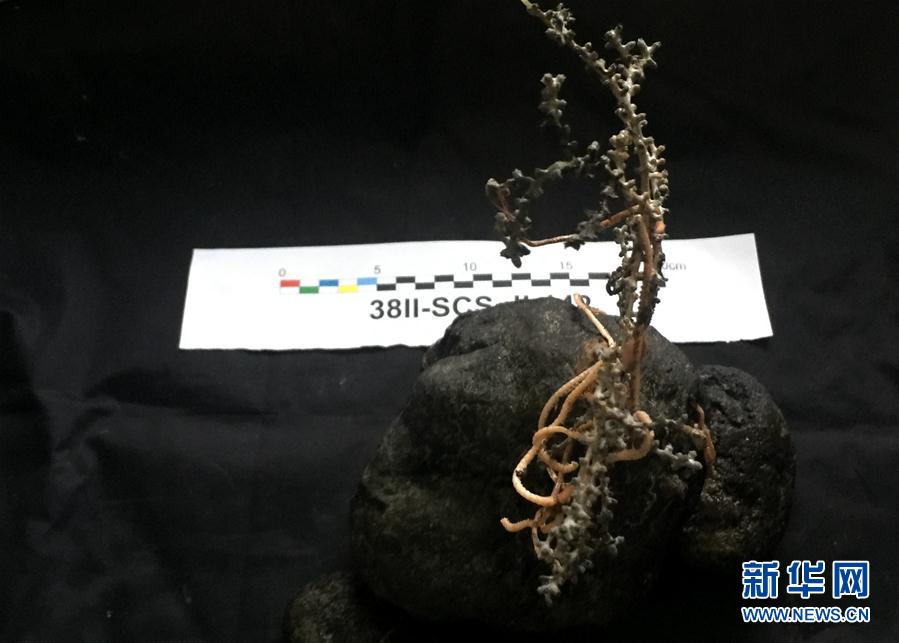 Submersível Jiaolong realiza último mergulho no Mar do Sul da China