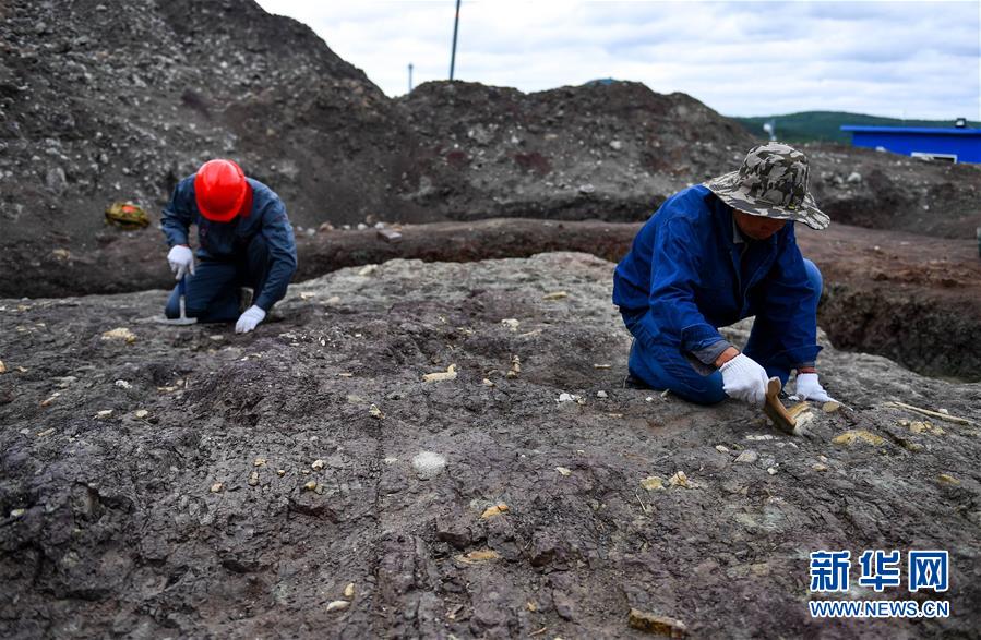 Fósseis de dinossauros do período Cretáceo encontrados na cidade de Yanji em Jilin