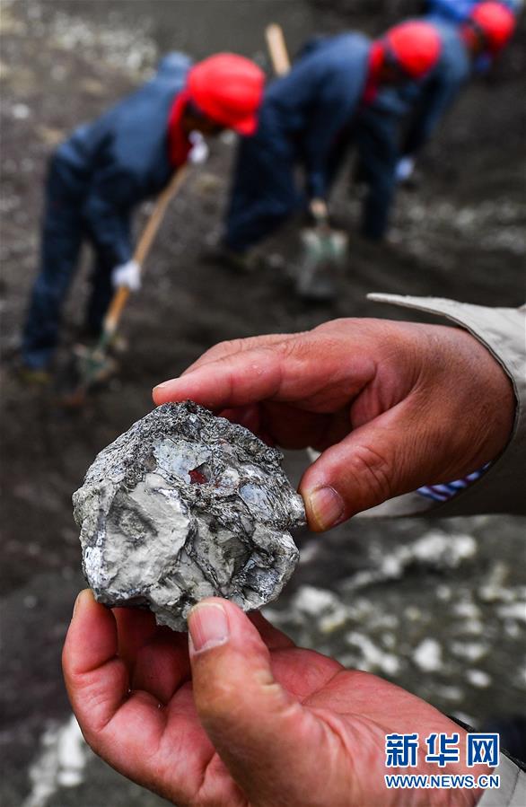 Fósseis de dinossauros do período Cretáceo encontrados na cidade de Yanji em Jilin