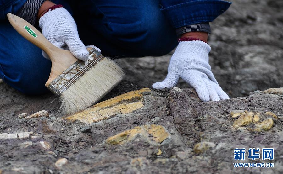 Fósseis de dinossauros do período Cretáceo encontrados na cidade de Yanji em Jilin