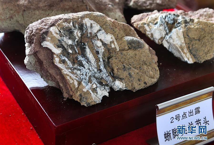 Fósseis de dinossauros do período Cretáceo encontrados na cidade de Yanji em Jilin