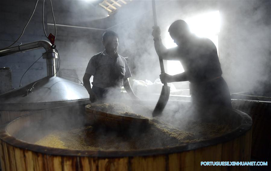 Povo da etnia Tujia produz licor de sorgo no centro da China