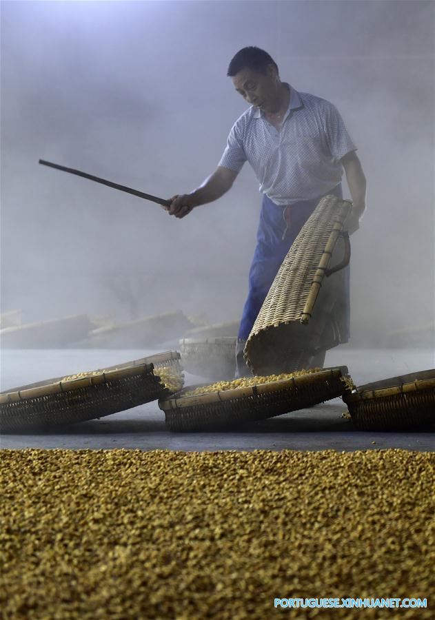 Povo da etnia Tujia produz licor de sorgo no centro da China