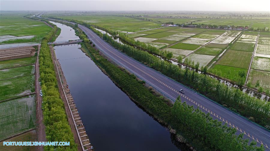 Dez cidades de Ningxia localizadas ao longo de rio Amarelo são ligadas por estrada