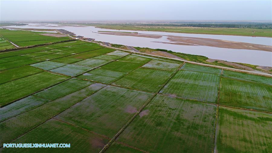 Dez cidades de Ningxia localizadas ao longo de rio Amarelo são ligadas por estrada