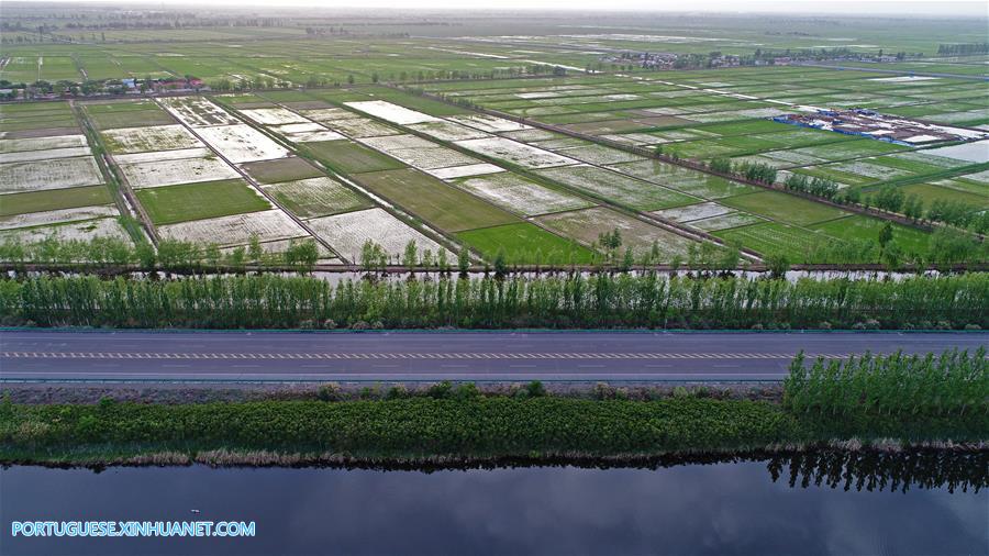 Dez cidades de Ningxia localizadas ao longo de rio Amarelo são ligadas por estrada