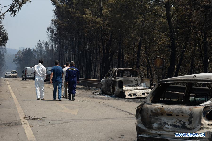 Incêndio florestal em Portugal: 61 mortos e 62 feridos confirmados