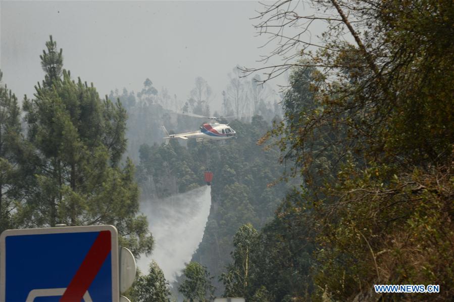 Incêndio florestal em Portugal: 61 mortos e 62 feridos confirmados