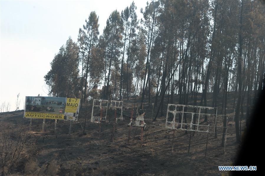 Incêndio florestal em Portugal: 61 mortos e 62 feridos confirmados