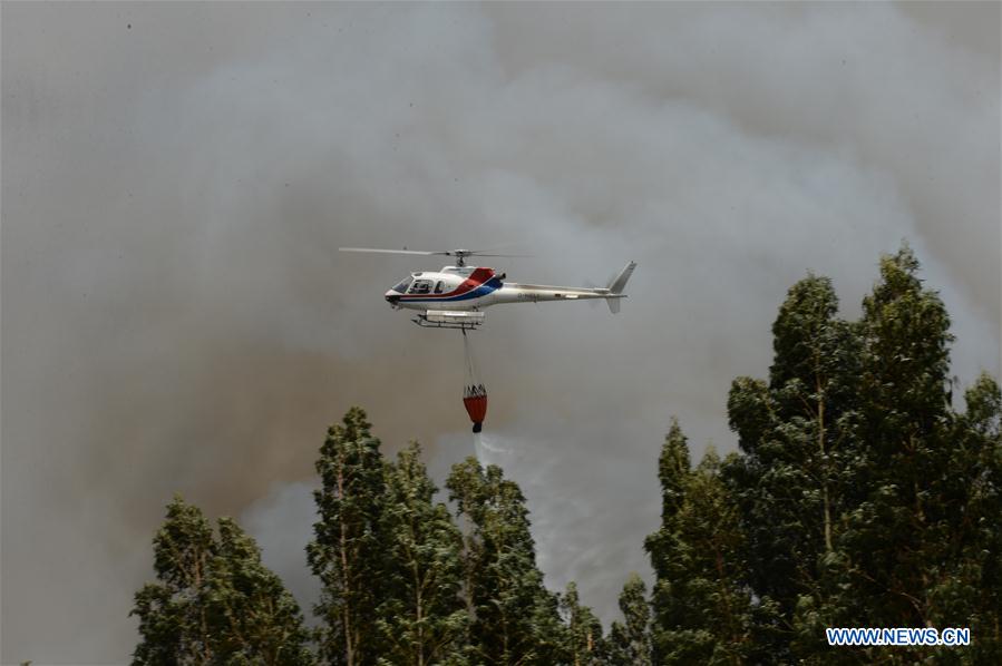 Incêndio florestal em Portugal: 61 mortos e 62 feridos confirmados