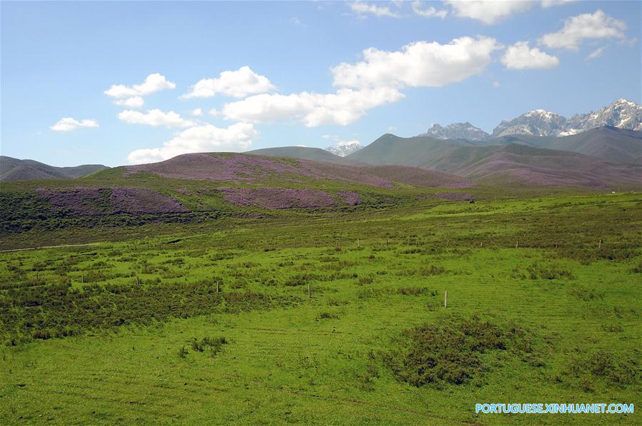 Cenário de verão das montanhas Qilian no noroeste da China