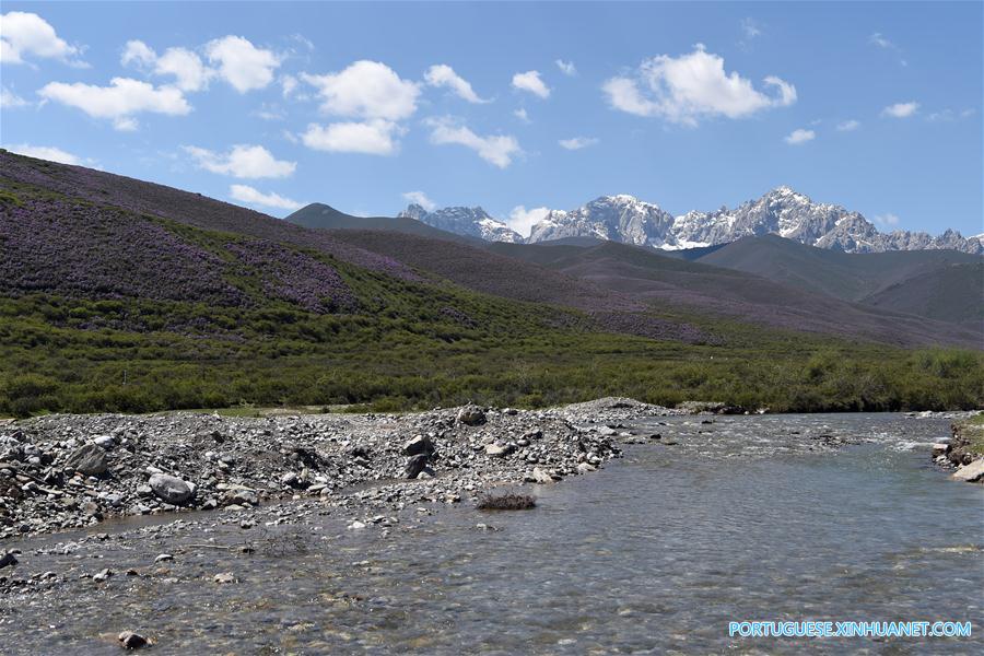 Cenário de verão das montanhas Qilian no noroeste da China