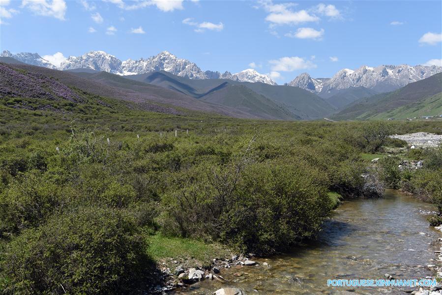 Cenário de verão das montanhas Qilian no noroeste da China