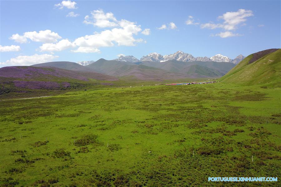 Cenário de verão das montanhas Qilian no noroeste da China