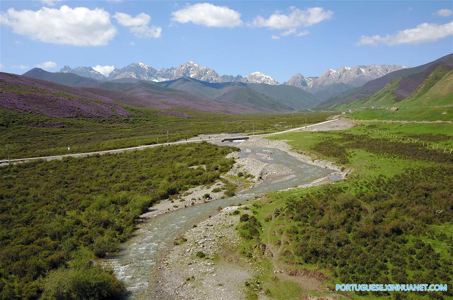 Cenário de verão das montanhas Qilian no noroeste da China