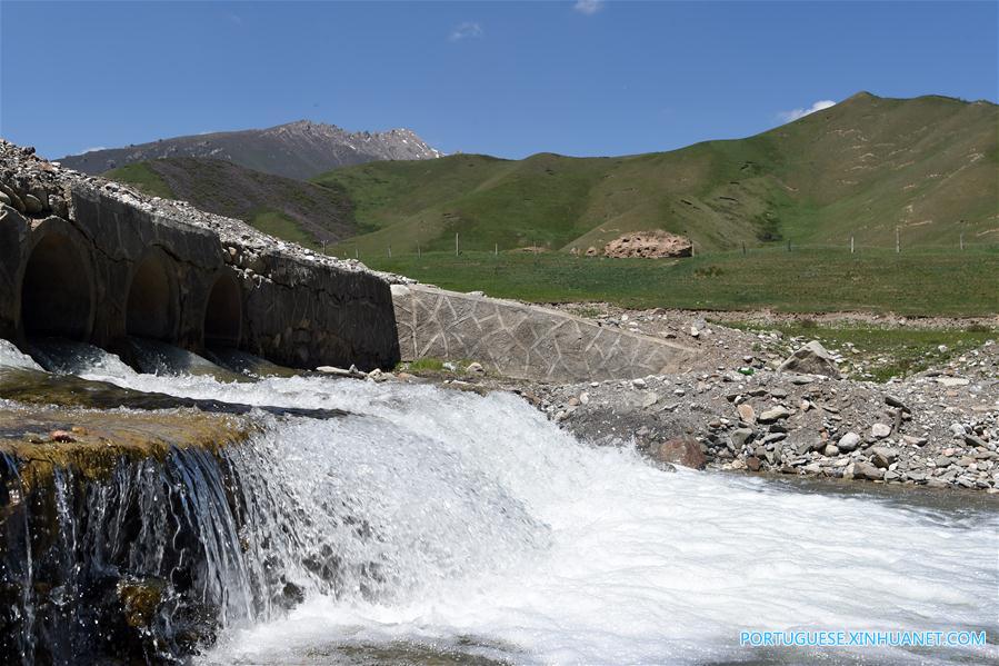 Cenário de verão das montanhas Qilian no noroeste da China