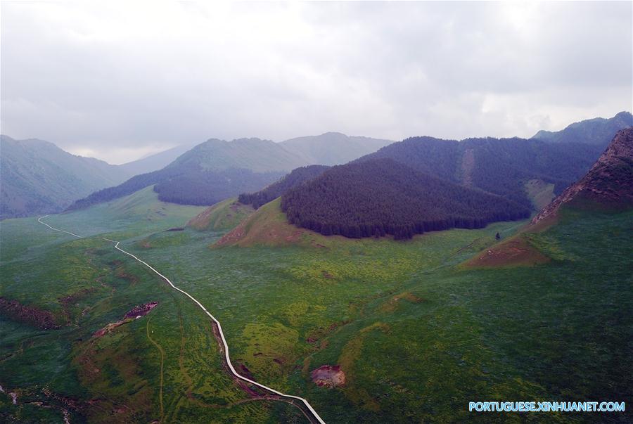 Cenário de verão das montanhas Qilian no noroeste da China