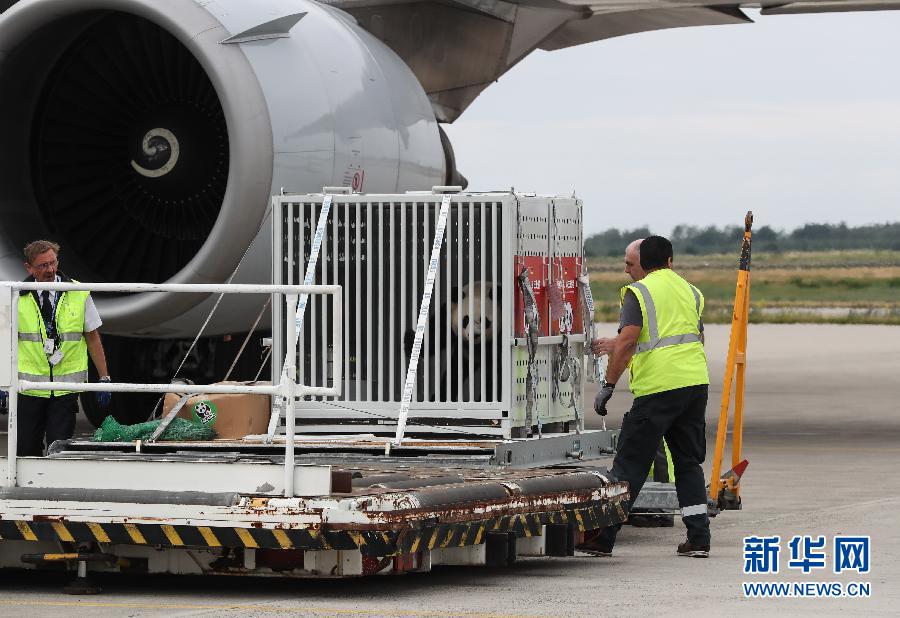 Pandas gigantes chegam a Berlim