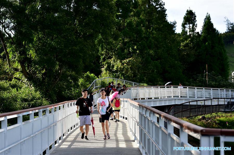 Pessoas aproveitam paisagem em trilha turística de alta altitude em Taiwan