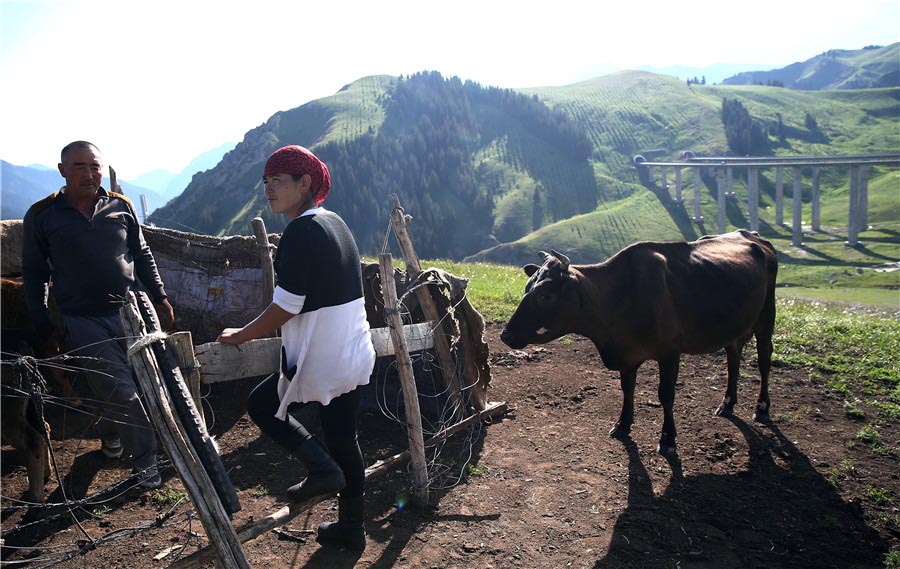 Pastores de Xinjiang usam autoestrada ao longo de trilho milenar para conduzir rebanhos