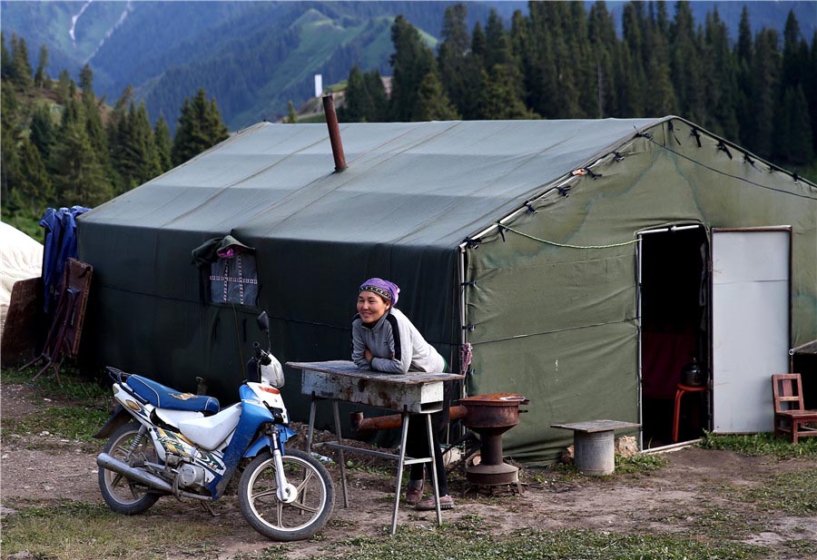 Pastores de Xinjiang usam autoestrada ao longo de trilho milenar para conduzir rebanhos