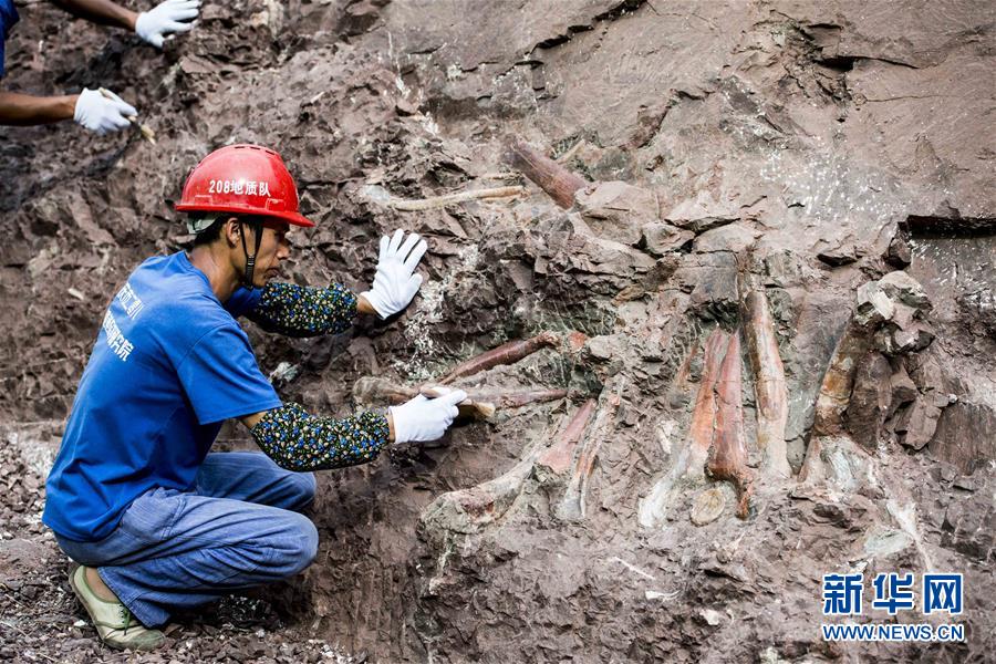 Fósseis de dinossauro descobertos em Chongqing são de “importância mundial”, dizem paleontologistas chineses