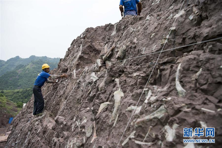 Fósseis de dinossauro descobertos em Chongqing são de “importância mundial”, dizem paleontologistas chineses