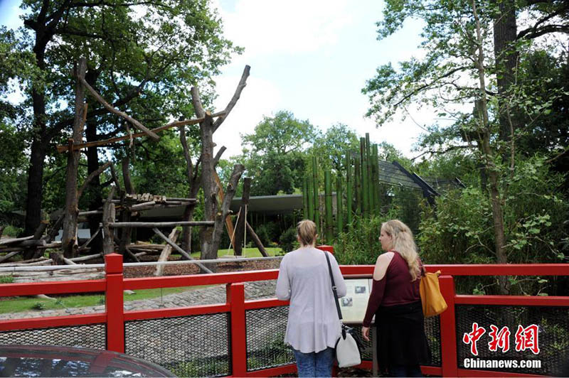 Jardim Zoológico de Berlim realiza cerimônia de inauguração do Jardim do Panda