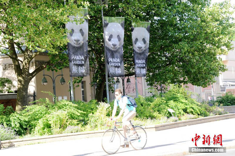 Jardim Zoológico de Berlim realiza cerimônia de inauguração do Jardim do Panda