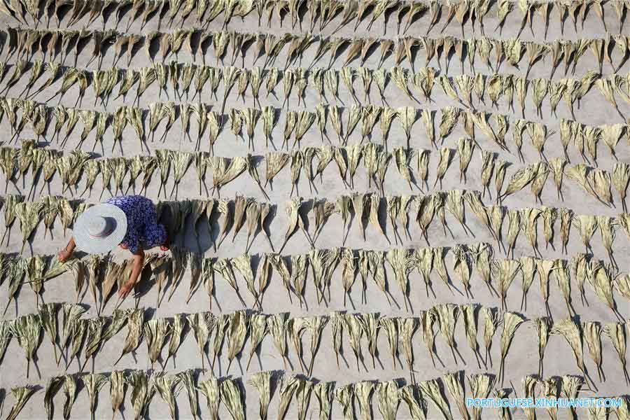 Aldeões produzem abanadores feitos de palmeira em Sichuan