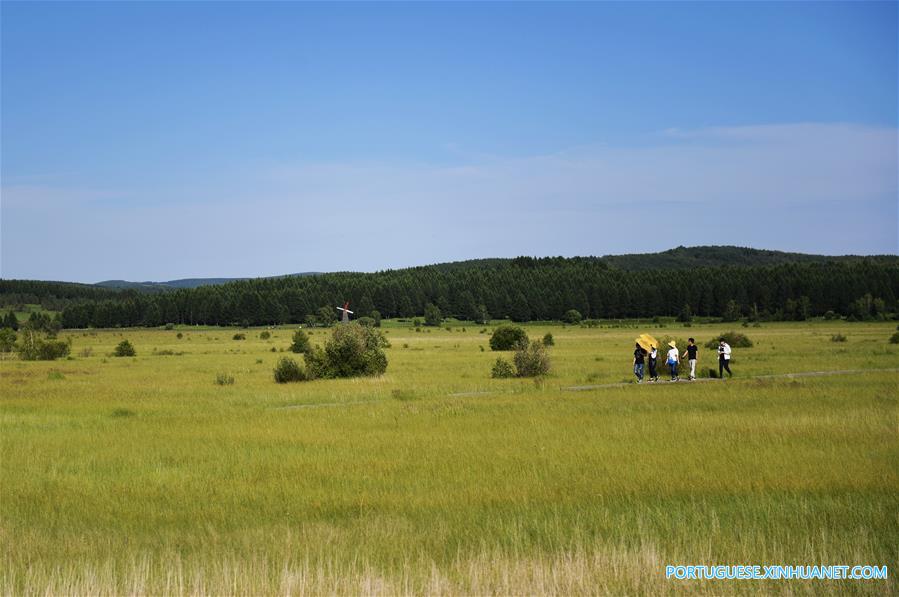 Turistas aproveitam paisagem do Parque Florestal Nacional de Saihanba, no norte da China