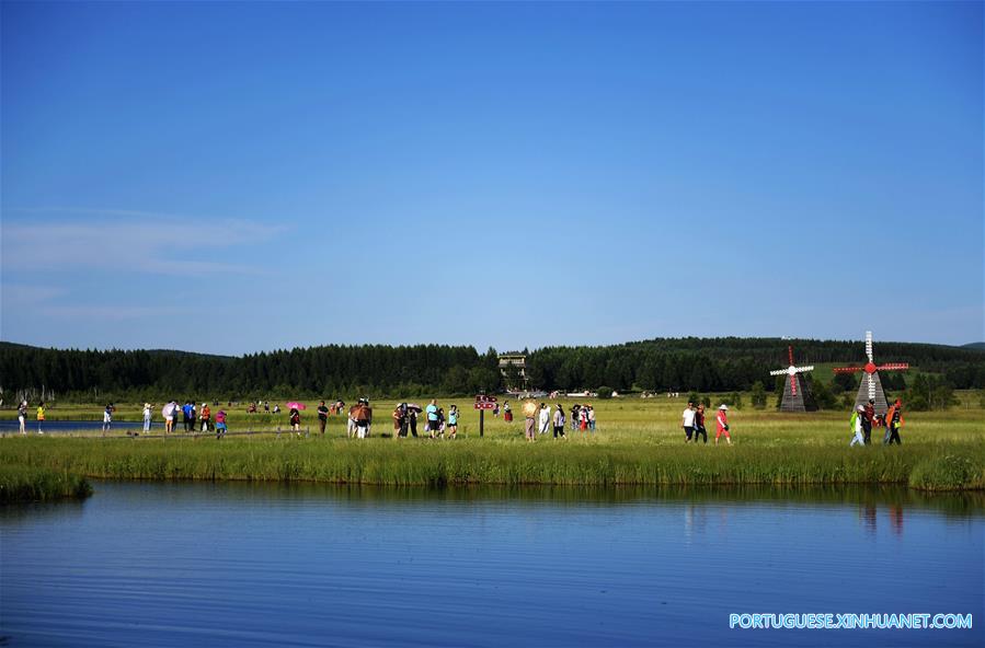 Turistas aproveitam paisagem do Parque Florestal Nacional de Saihanba, no norte da China