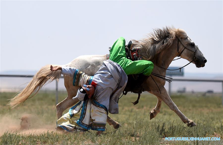 Esforços para proteger cultura de criação de cavalos na Mongólia Interior