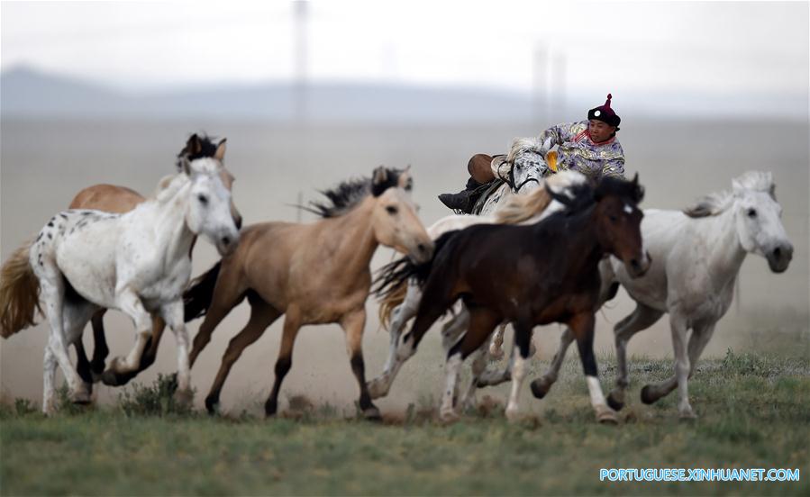 Esforços para proteger cultura de criação de cavalos na Mongólia Interior