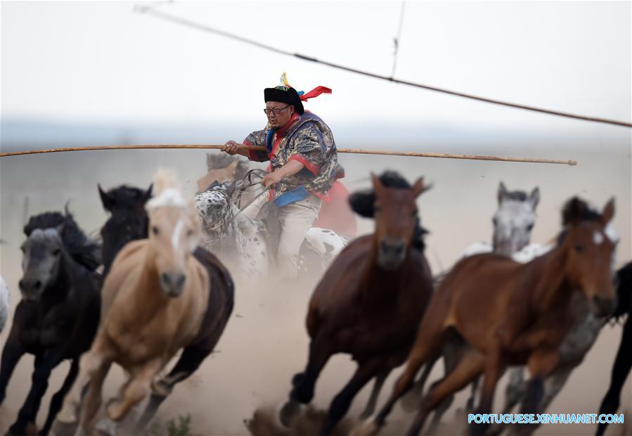 Esforços para proteger cultura de criação de cavalos na Mongólia Interior